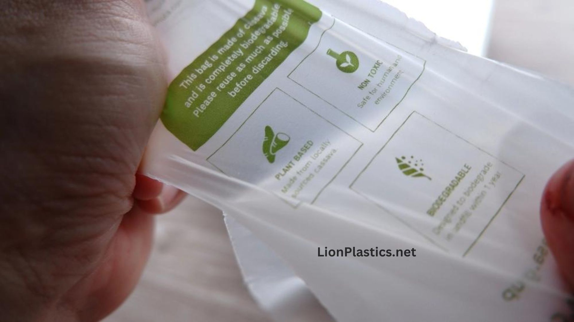 Top Trends in Biodegradable Packaging