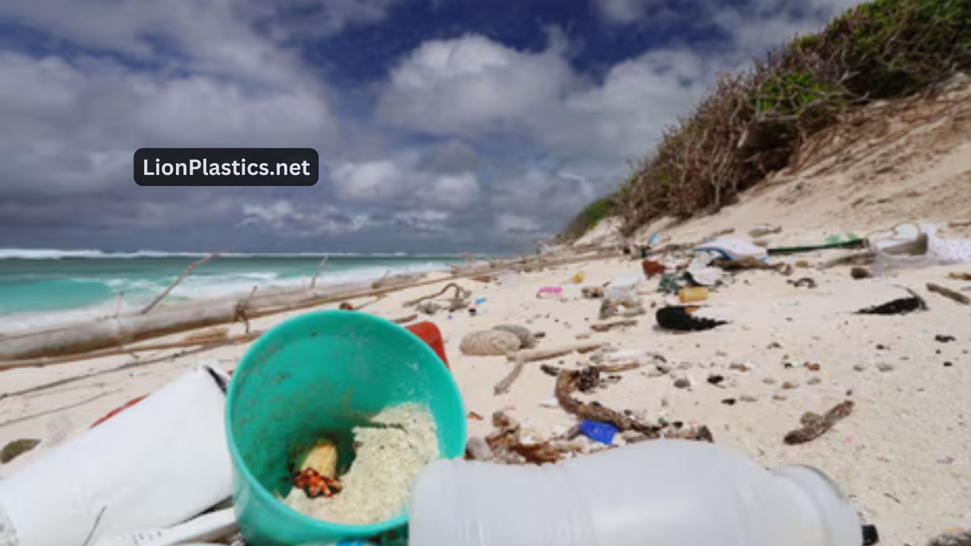 Economic Costs of Plastic Pollution Cleanup