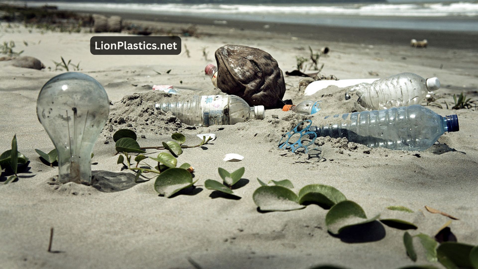 Negative Environmental Effects of Plastic